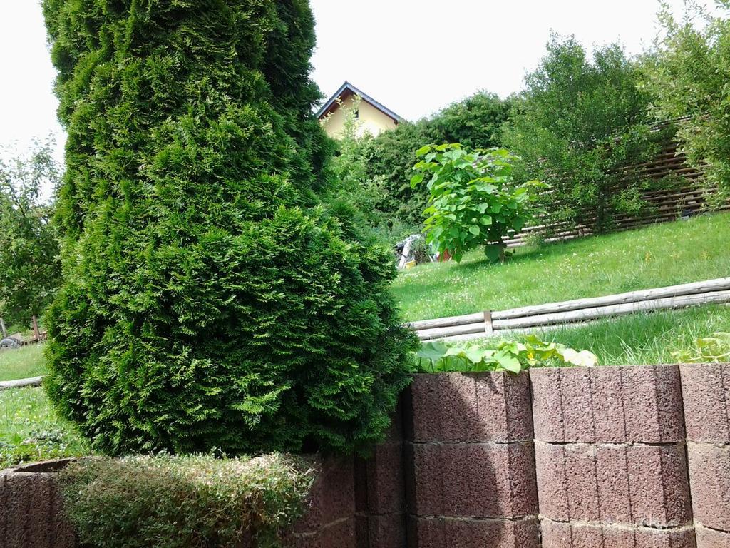 Ferienhaus Waldblick Sangerhausen Exterior foto
