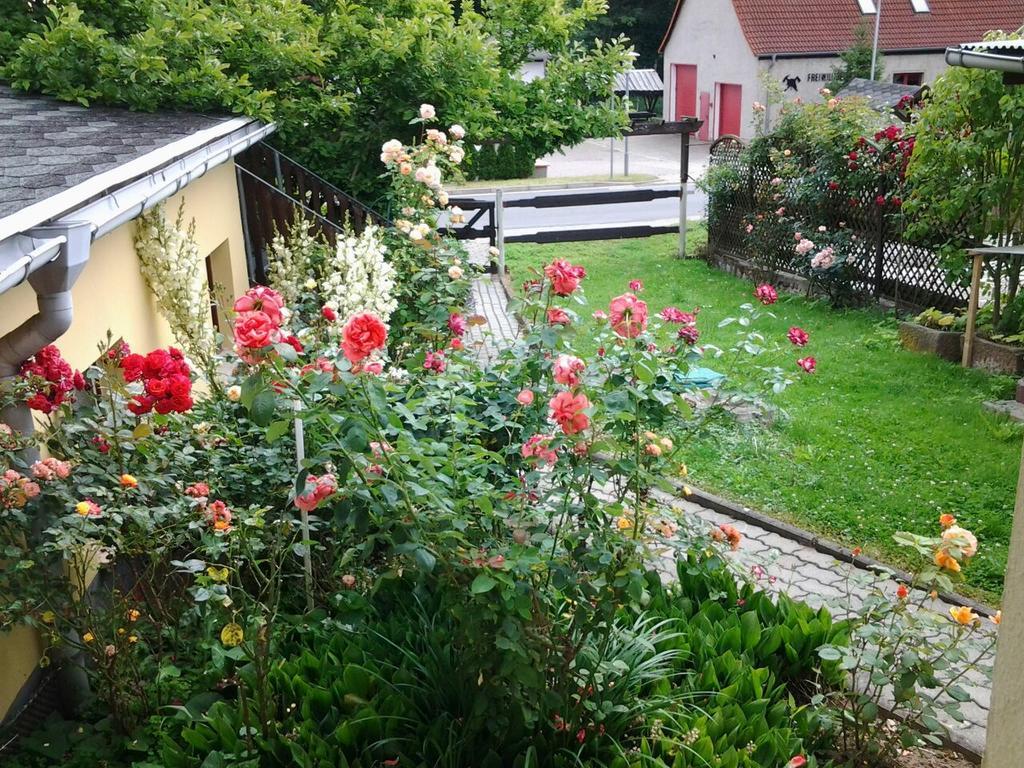 Ferienhaus Waldblick Sangerhausen Exterior foto