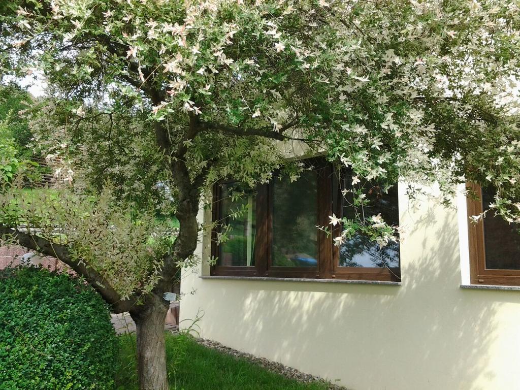 Ferienhaus Waldblick Sangerhausen Exterior foto